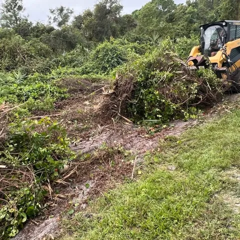 Forestry mulching heavy brush